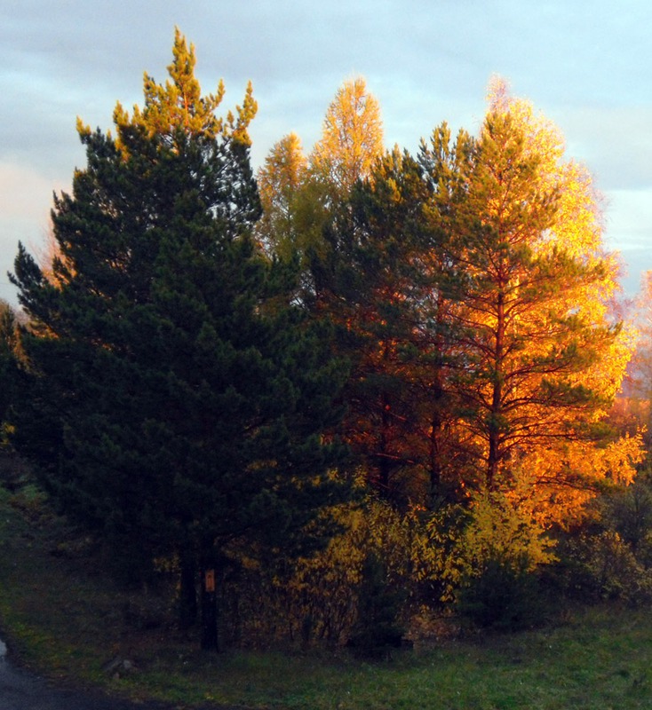 Краски осени