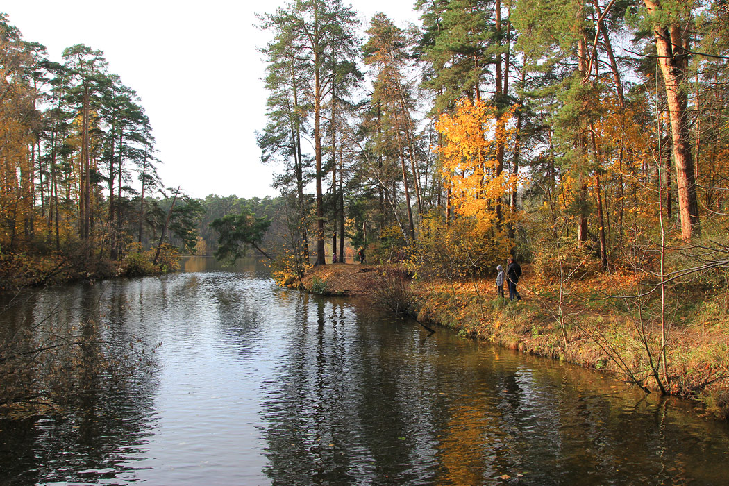 В осеннем парке