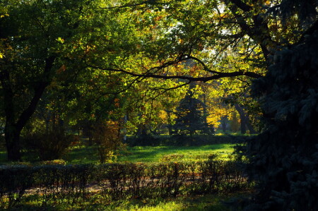 Осенний парк.