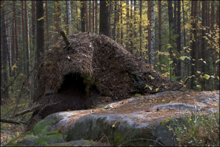 ... без косы