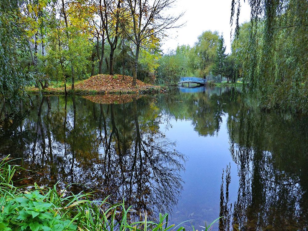 Утренняя тишина