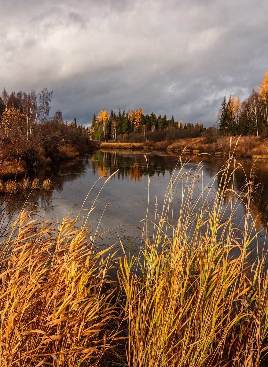 Осень на катанге