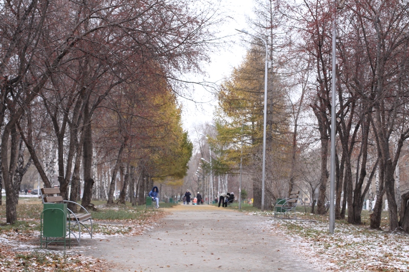 осень в городском парке