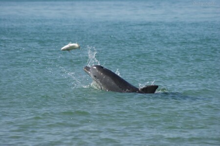 &amp;quot;Это было неизбежно&amp;quot;