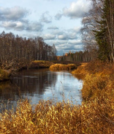Осень на катанге
