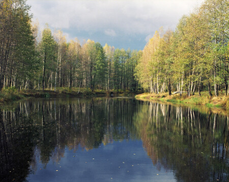Солнце