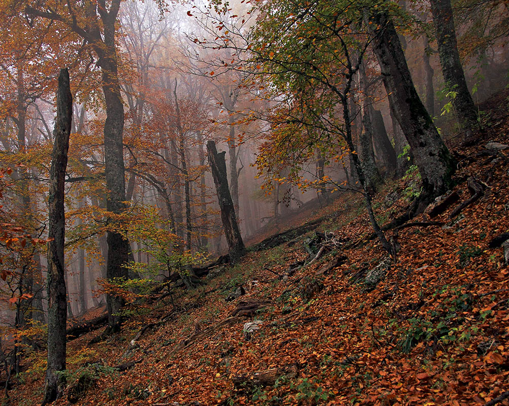 Осень на горном склоне