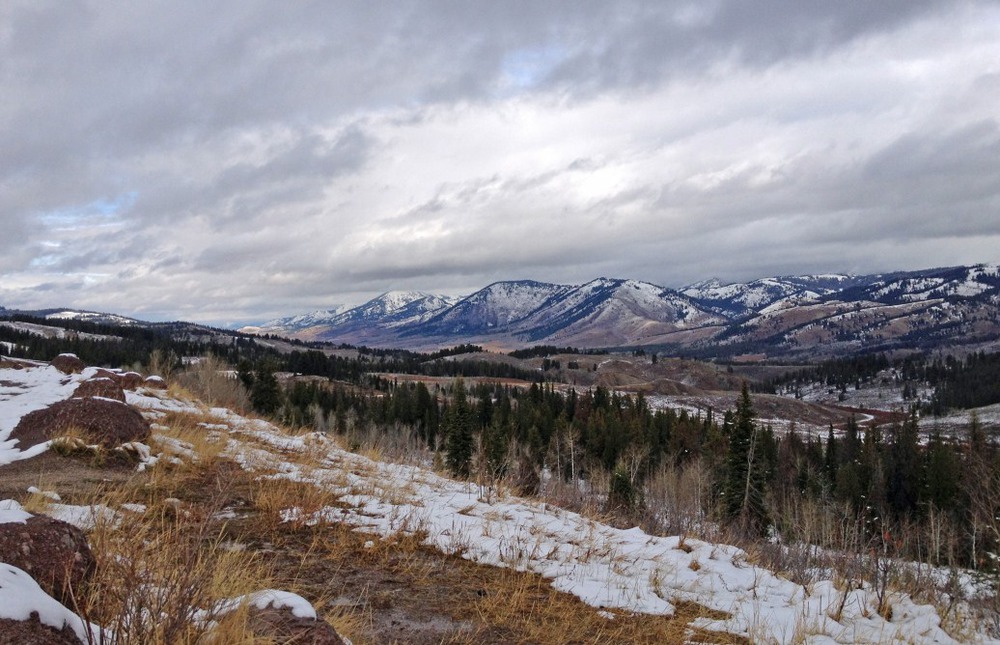 bridger national forest, wy