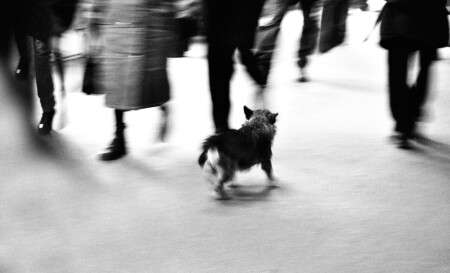 Потерялся...