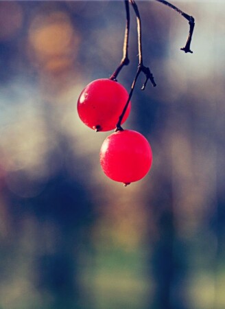 Раскалённые