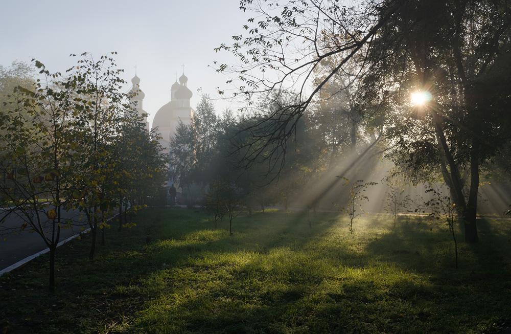 В утренних лучах