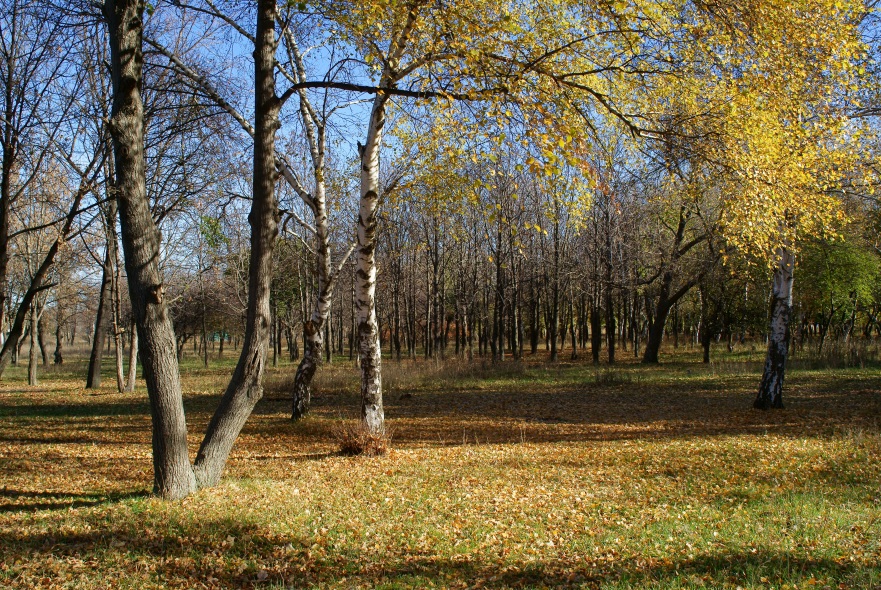 В парке