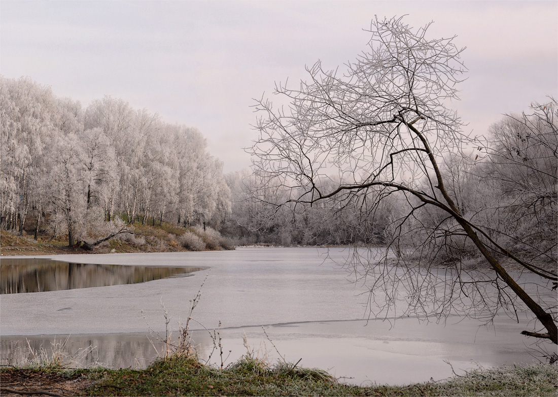 Предзимье