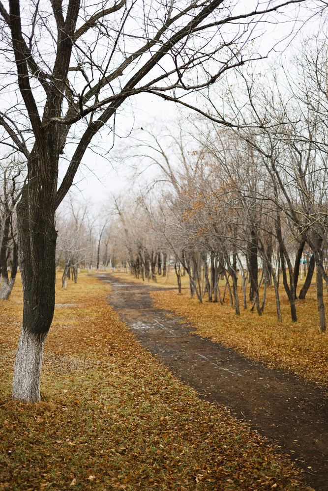 осень