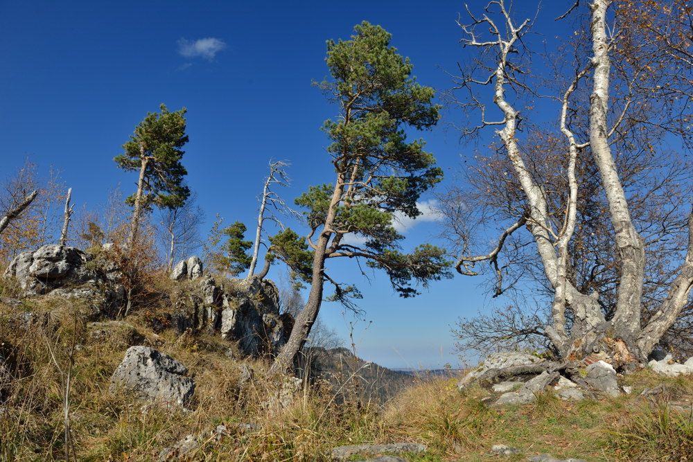 Лагонакское нагорье