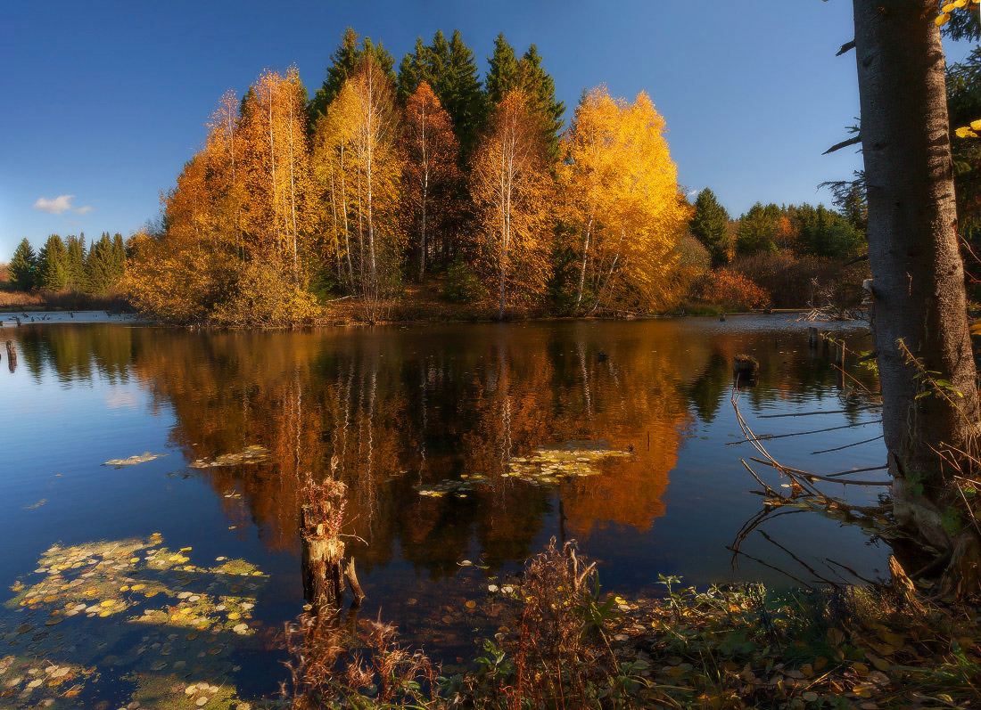 Осенний островок