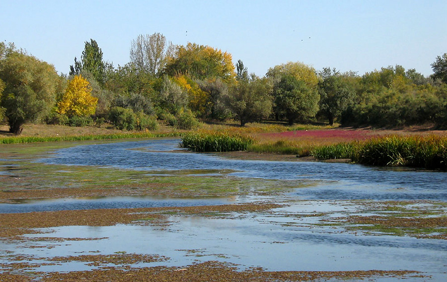 краски осени