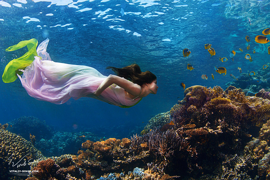 Underwater Dance. Colors