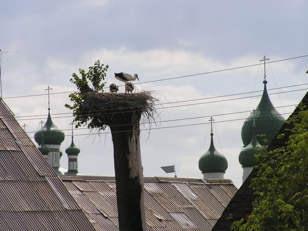 Возвышенное....