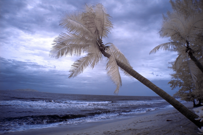 Islands Infrared