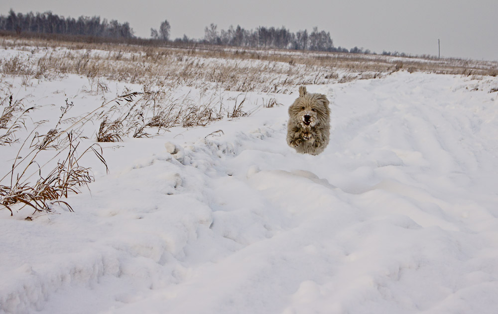 окликнуть друга!