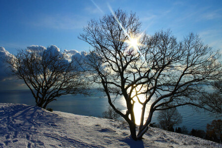 &amp;quot;Снежное утро&amp;quot;