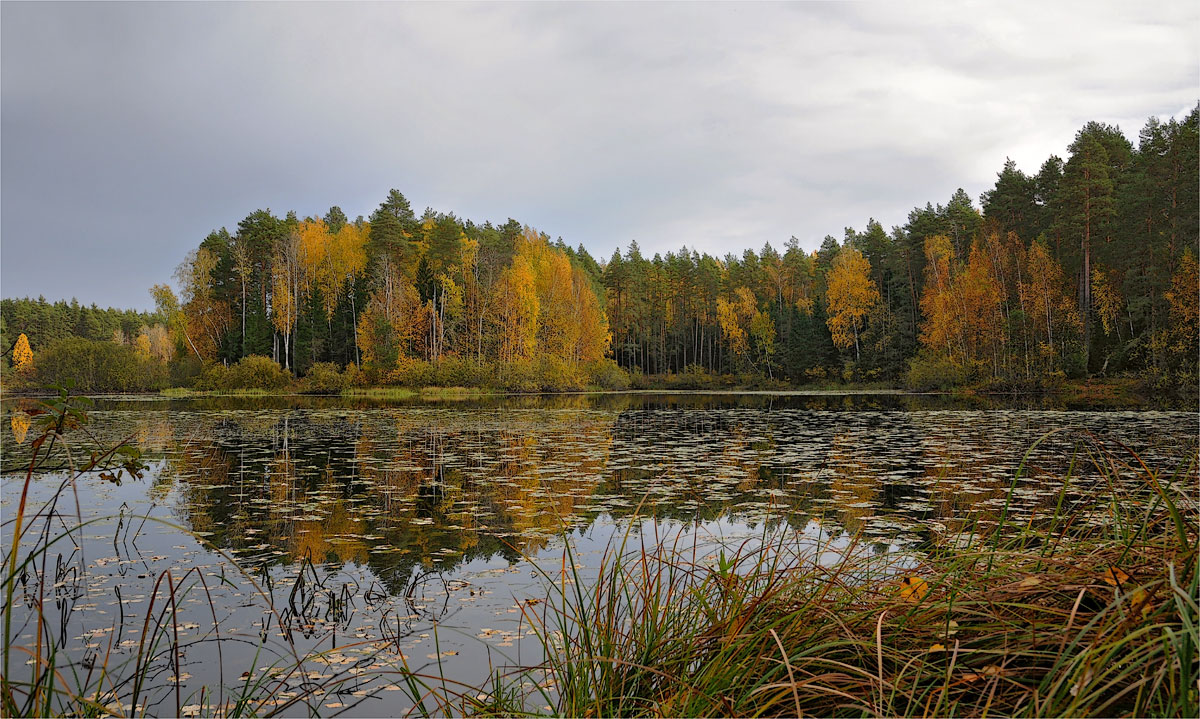 Очарованье осени