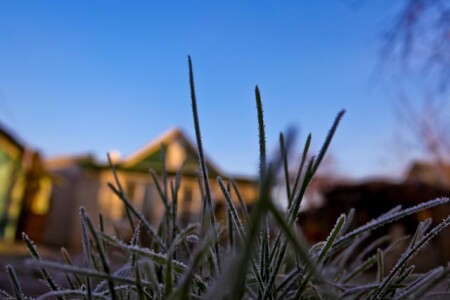 Утро во дворе 2