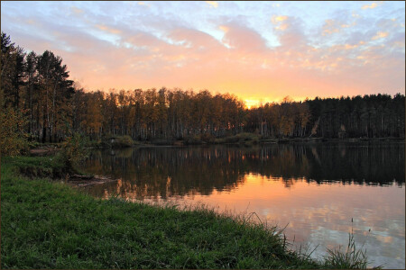 Лесное озеро