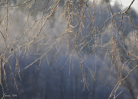 Подморозило...