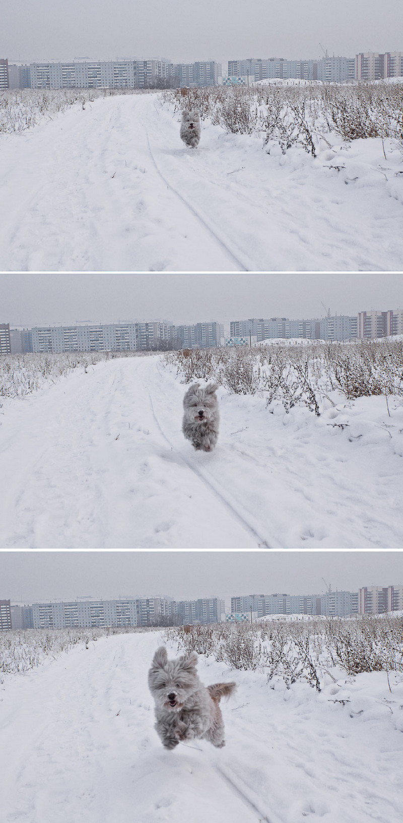 Замри фотограф!!