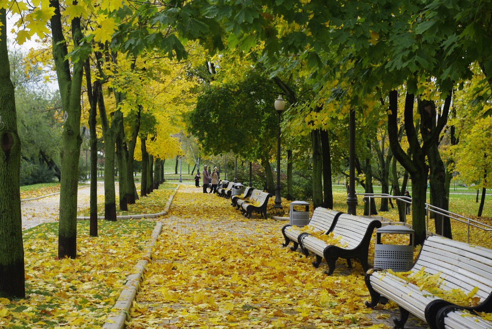 Осень в Москве