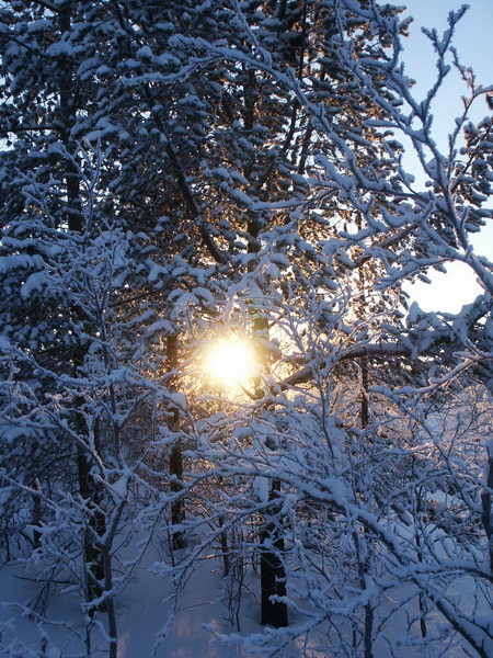 выглянуло солнышко!