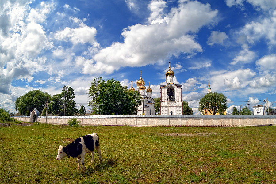 Июнь в Переславле (2)