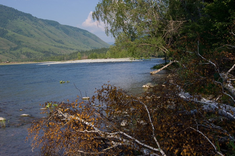 Середина Катуни