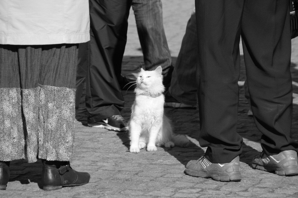 В центре внимания