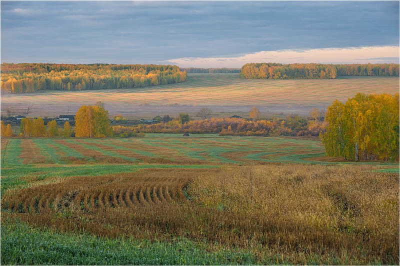 Утро реки Барневка.