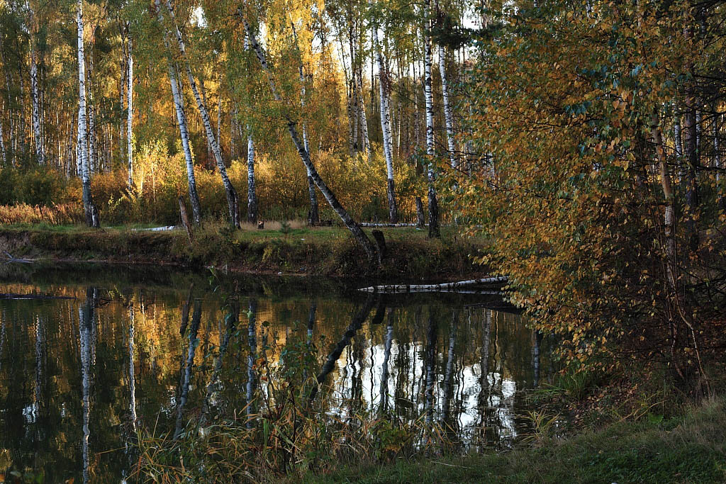 Осенний вечер