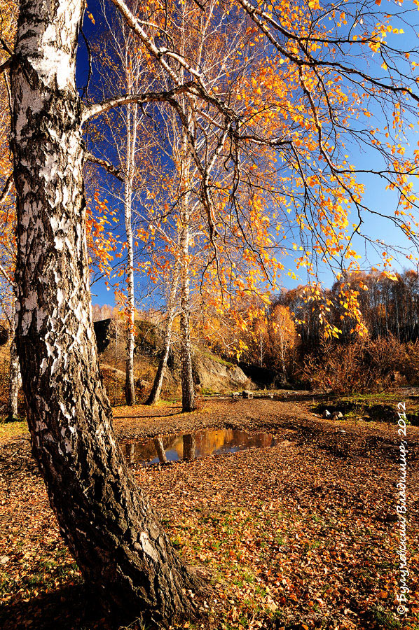 Салаирский кряж. Осень