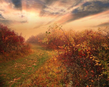 Тропинки осенние