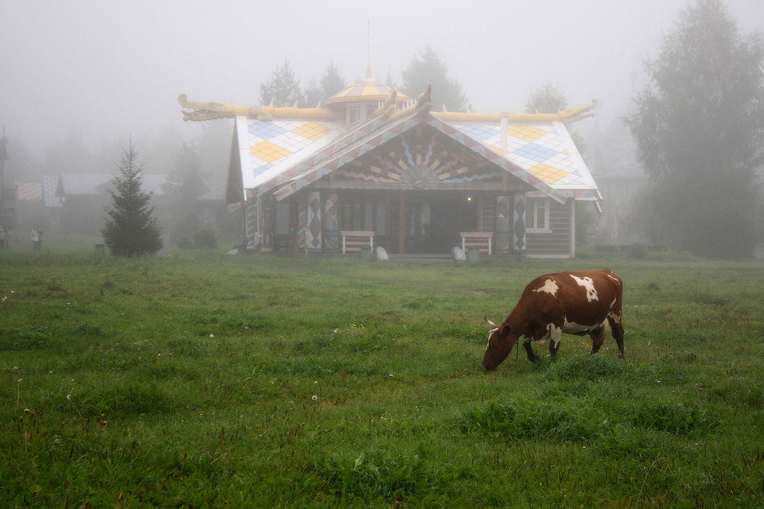 Мандроги