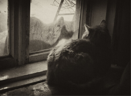 треугольник