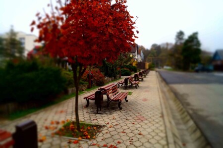 Последние осенние деньки