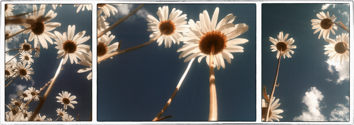 White on blue