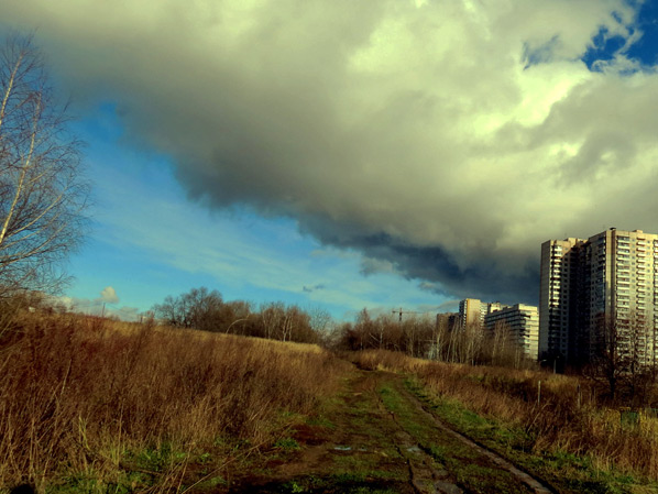 проч от городской суеты