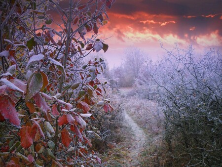 Из осени в зиму