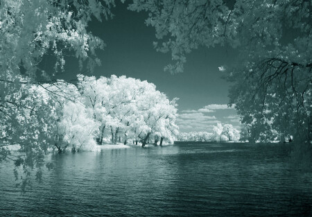 another world