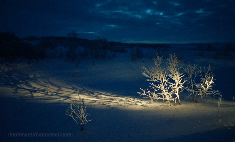 Ночное.