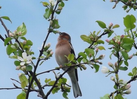 Где-то рядом