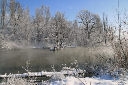 Морозное утро